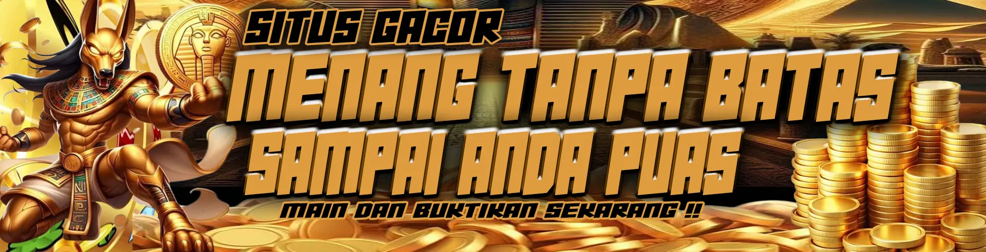 BANNER NEXT77